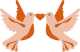 vector-img